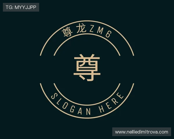 介绍尊龙zm6